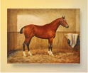 Joey Painting Warhorse - buy signed prints